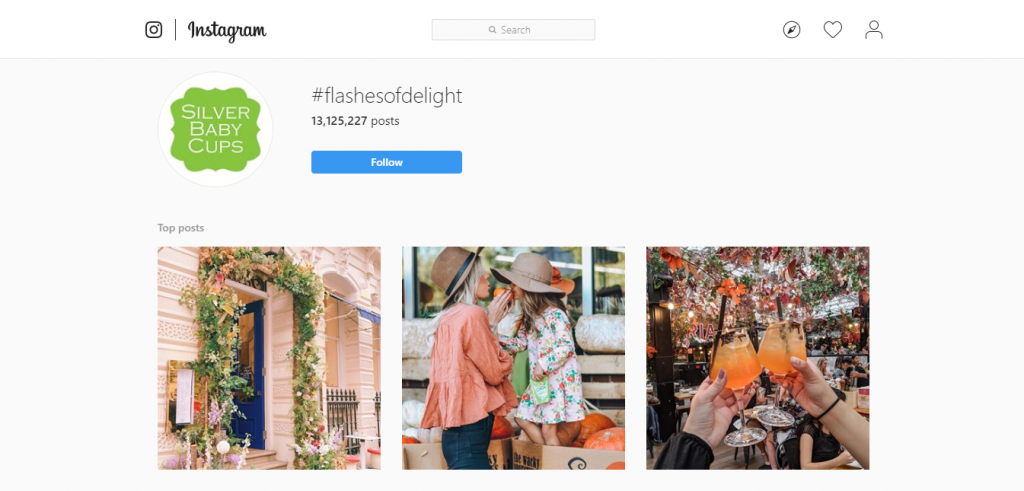 #flashesofdelight flashes of delight