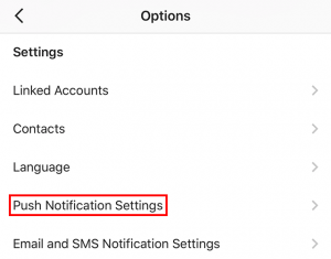 Instagram-Push-Notification-Settings