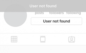 Instagram-User-not-found