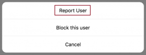 Report Instagram User